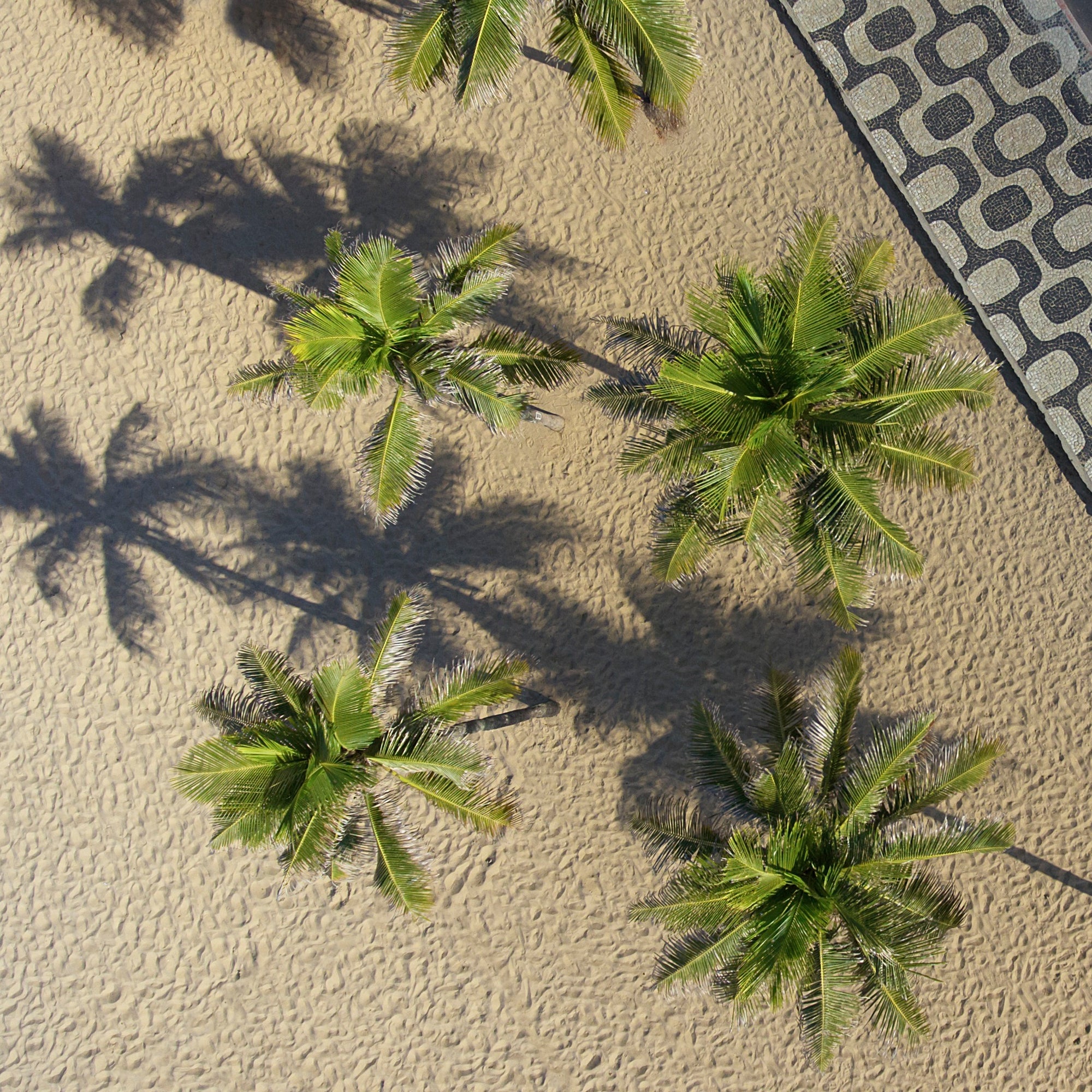 2023年春夏モデル続々入荷中!<br>新しくコンフォートタイプのサンダル<br>「BLISS」が登場