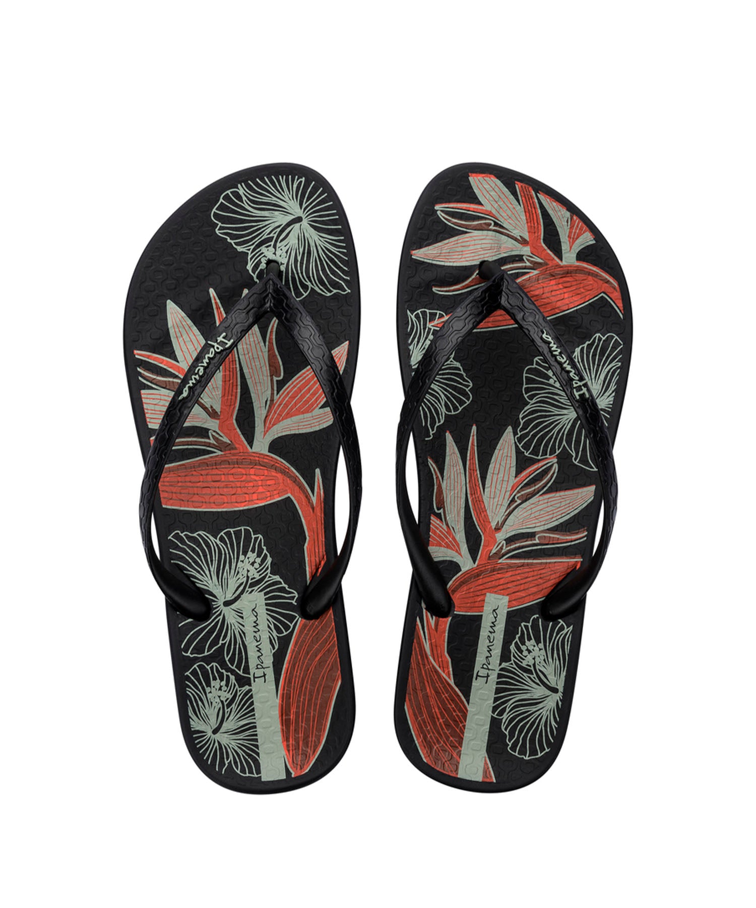 Ipanema ANAT TEMAS XV