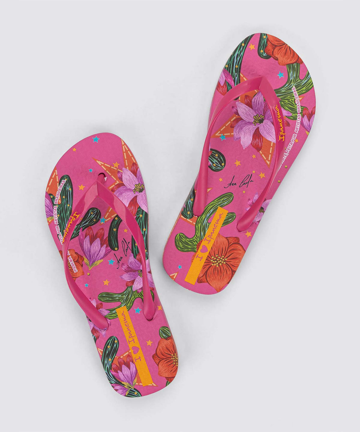 Ipanema ARTE【26SS NEW】