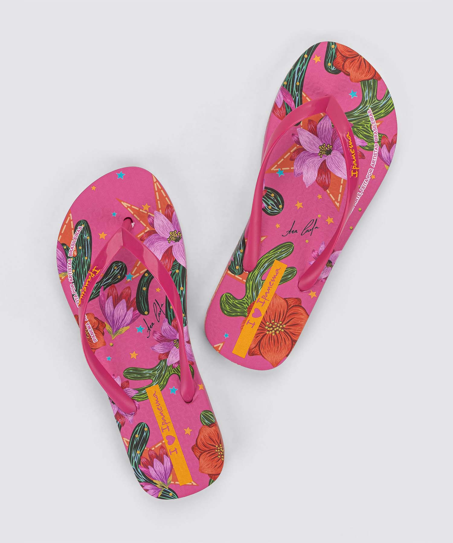 Ipanema ARTE【26SS NEW】