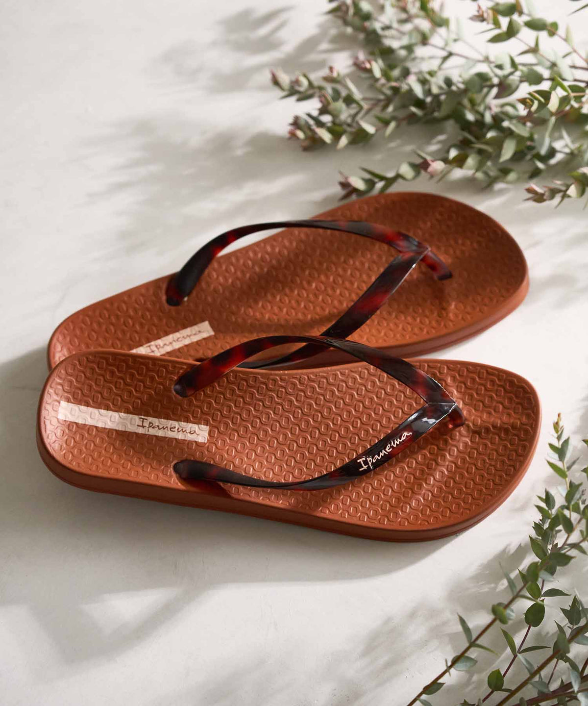 Ipanema ANAT CONNECT