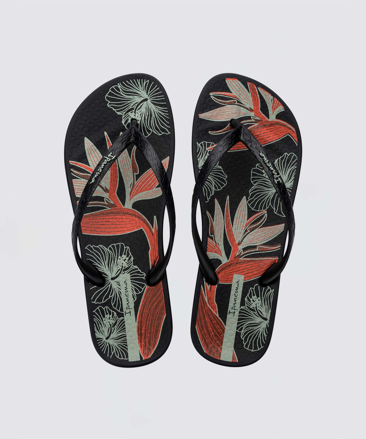 Ipanema ANAT TEMAS XV