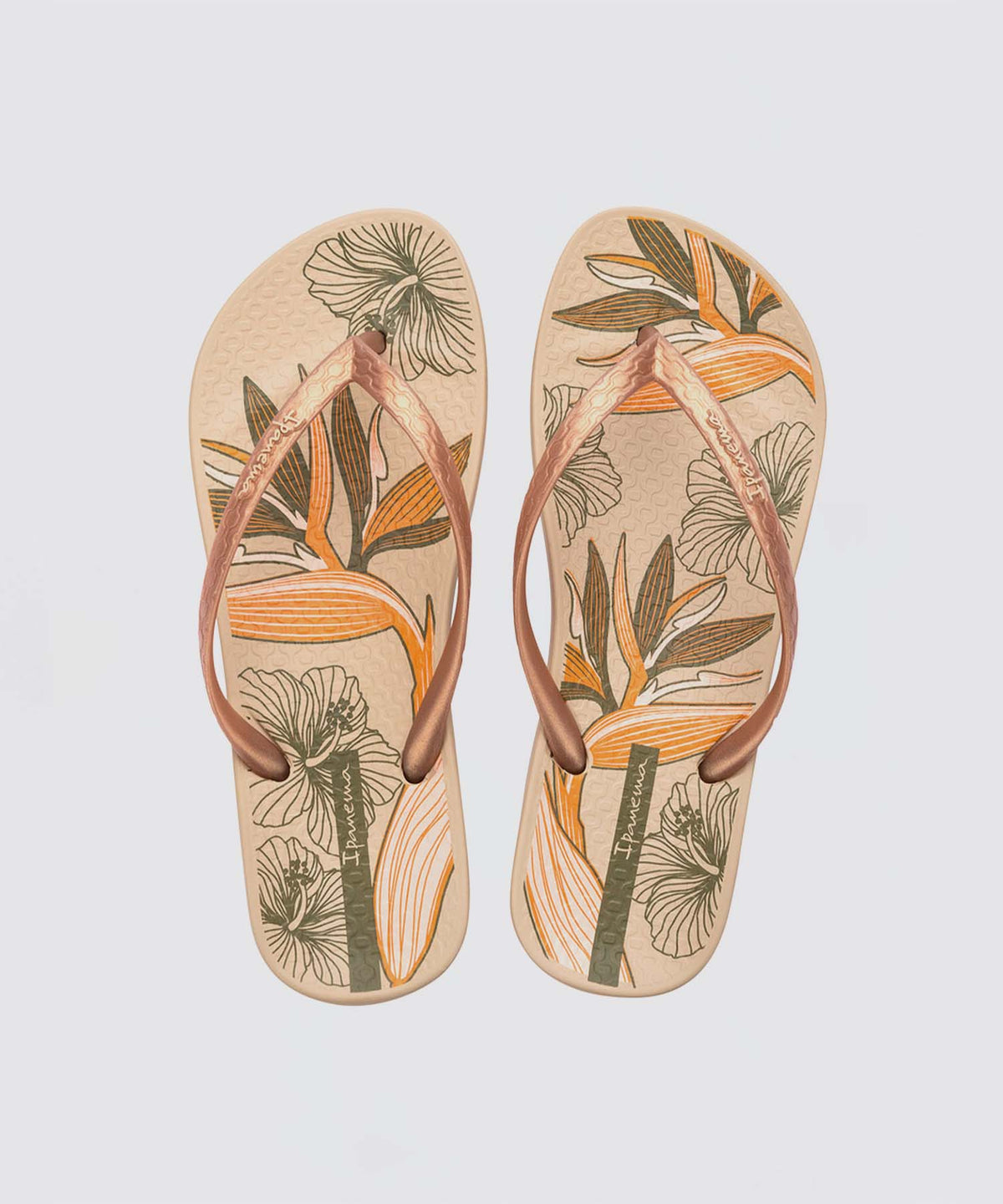 Ipanema ANAT TEMAS XV