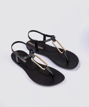 Ipanema CLASS MODERN【26SS NEW】