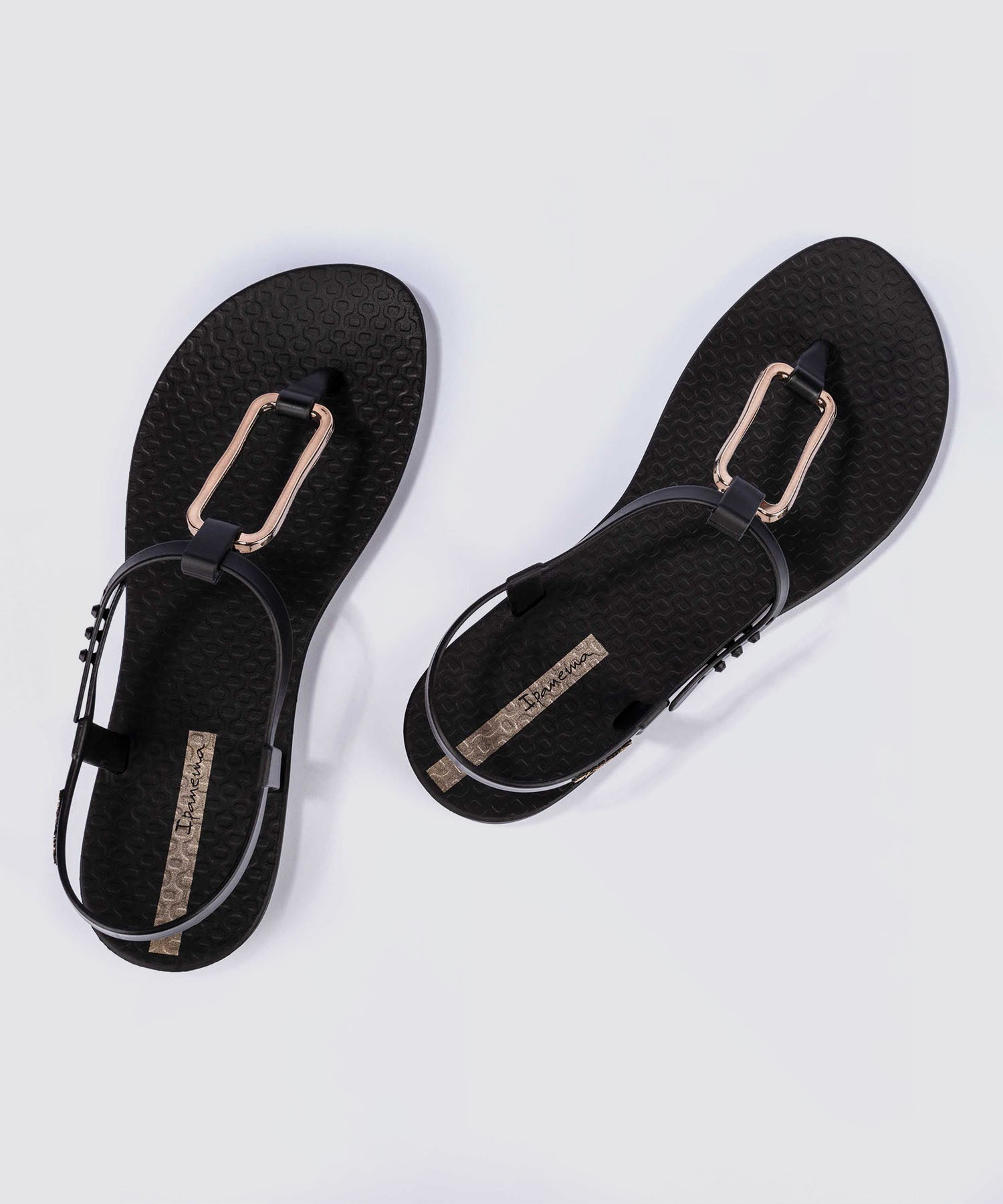 Ipanema CLASS MODERN【26SS NEW】